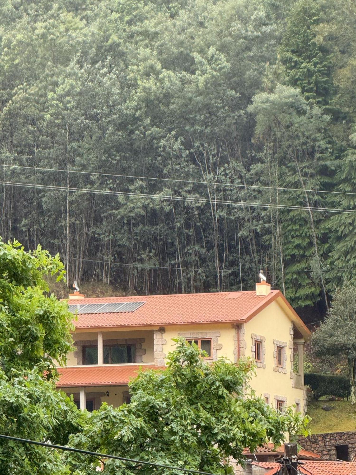 Casa Do Pedrogo Hotel Vườn quốc gia Peneda-Gerês Ngoại thất bức ảnh